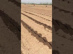 เทปชลประทานระบายน้ํา