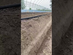 เทปชลประทานระบายน้ํา