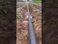 เทปสเปรย์